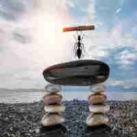 专​业﻿百​度​SEO方​法‌